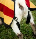 Horseware® Newmarket Goat Fleece - Horseware Ireland - Equiluxe Tack
