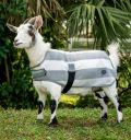 Horseware® Newmarket Goat Fleece - Horseware Ireland - Equiluxe Tack