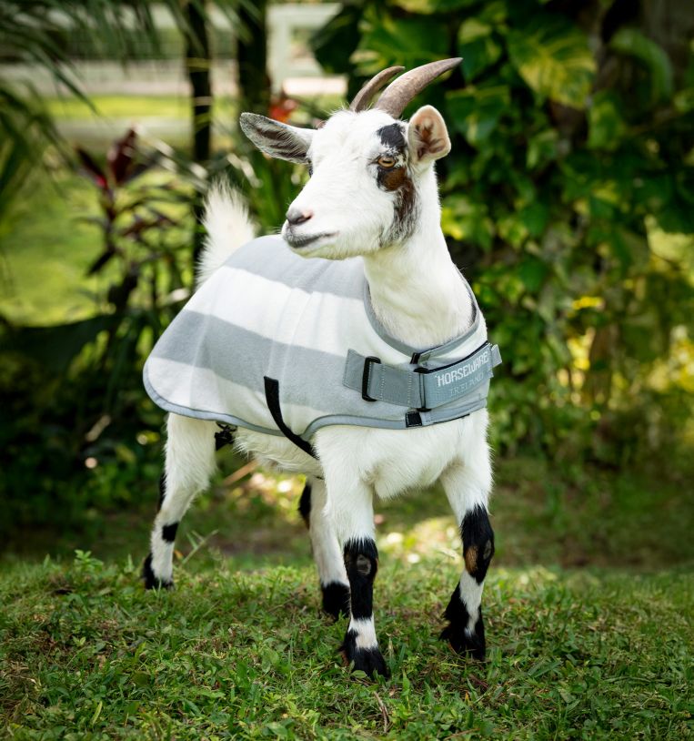 Horseware® Newmarket Goat Fleece - Horseware Ireland - Equiluxe Tack