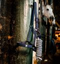 Horseware® Newmarket Halter & Lead Rope - Horseware Ireland - Equiluxe Tack