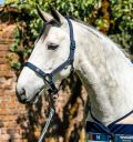 Horseware® Newmarket Halter & Lead Rope - Horseware Ireland - Equiluxe Tack