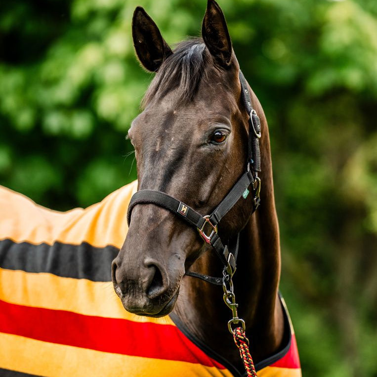 Horseware® Newmarket Halter & Leadrope - Horseware Ireland - Equiluxe Tack