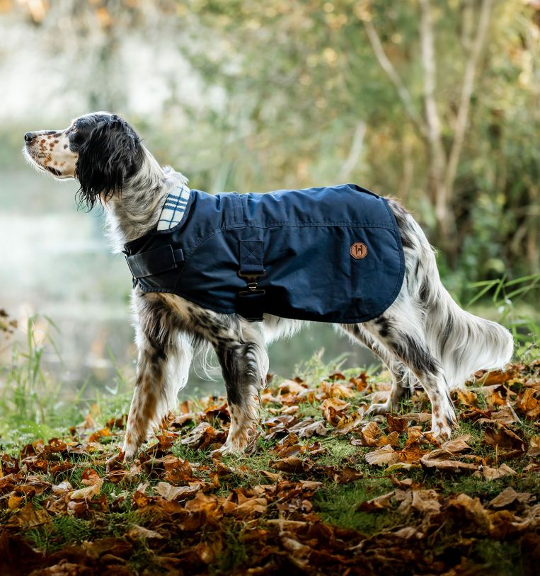 Horseware® Newmarket Heritage Dog Coat - Horseware Ireland - Equiluxe Tack