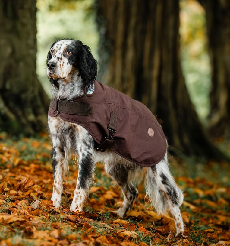 Horseware® Newmarket Heritage Dog Coat - Horseware Ireland - Equiluxe Tack