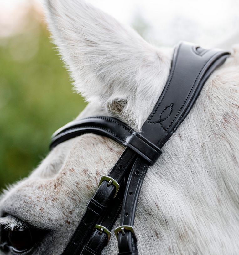 Horseware® Pony Cavesson Bridle - Horseware Ireland - Equiluxe Tack