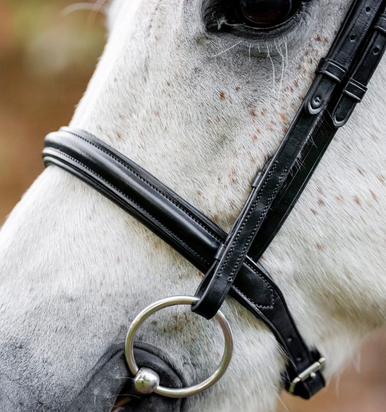 Horseware® Pony Cavesson Bridle - Horseware Ireland - Equiluxe Tack