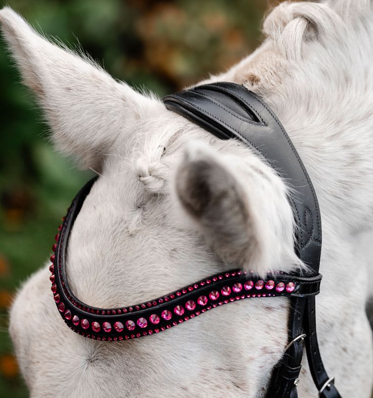 Horseware® Pony Diamante Flash Bridle - Horseware Ireland - Equiluxe Tack