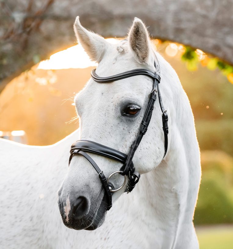 Horseware® Pony Flash Bridle - Horseware Ireland - Equiluxe Tack