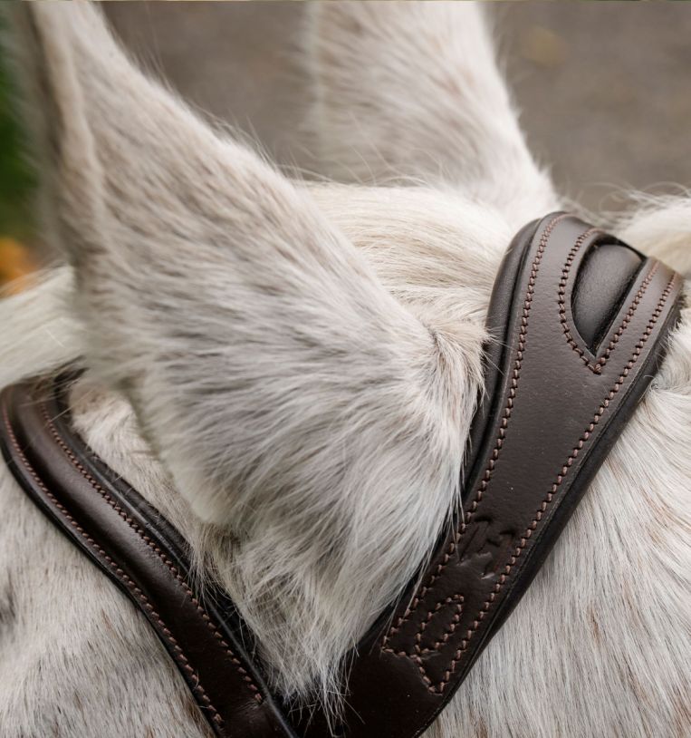 Horseware® Pony Flash Bridle - Horseware Ireland - Equiluxe Tack