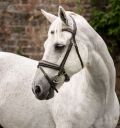 Horseware® Pony Flash Bridle - Horseware Ireland - Equiluxe Tack