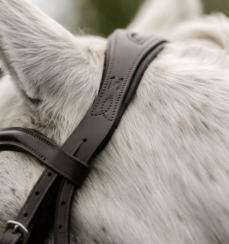 Horseware® Pony Flash Bridle - Horseware Ireland - Equiluxe Tack