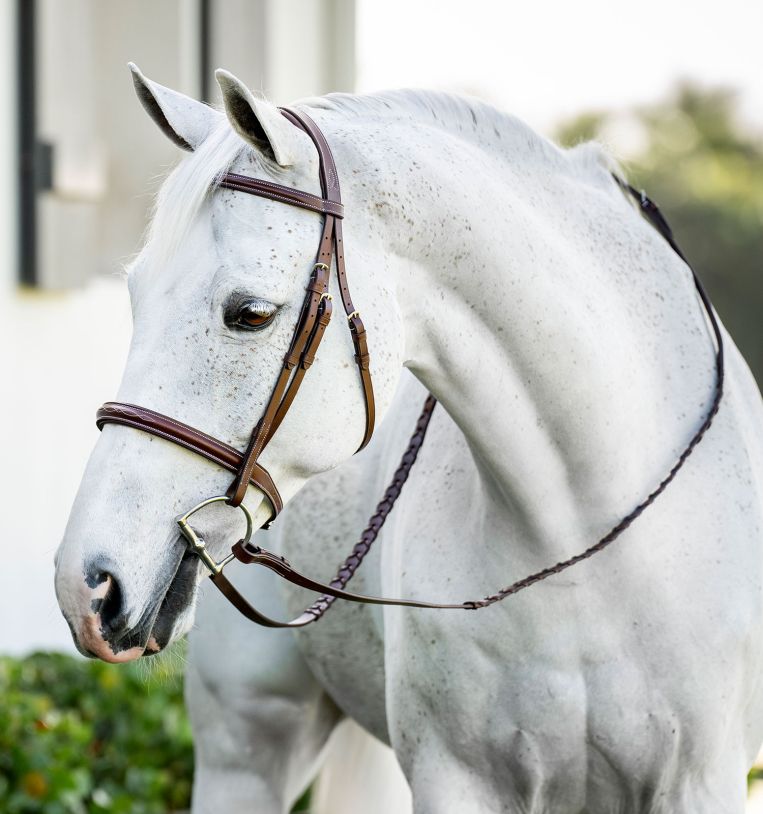 Horseware® Pony Hunter Cavesson Bridle with Reins - Horseware Ireland - Equiluxe Tack