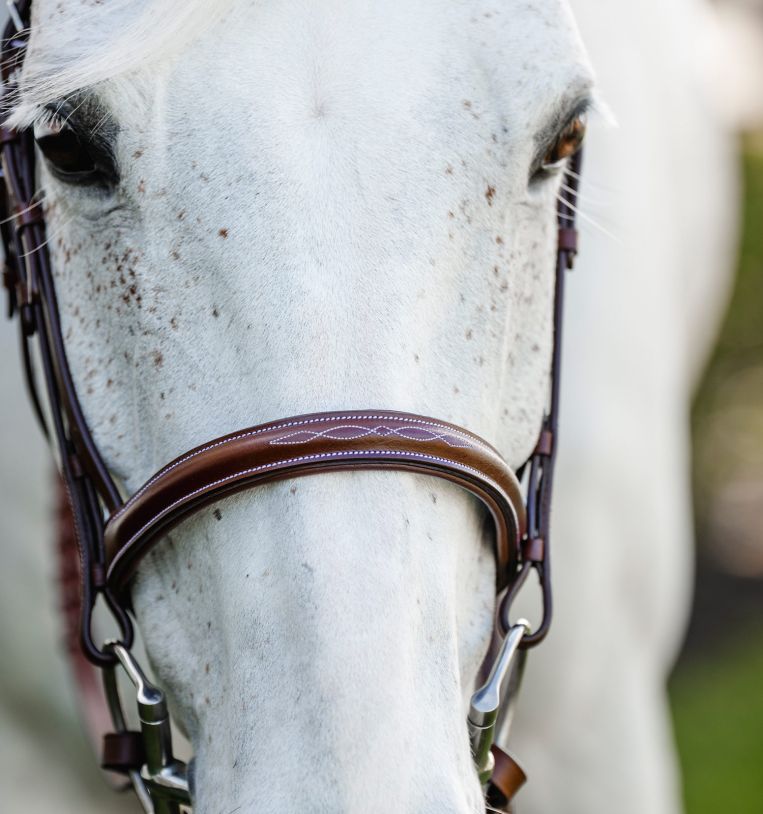 Horseware® Pony Hunter Cavesson Bridle with Reins - Horseware Ireland - Equiluxe Tack