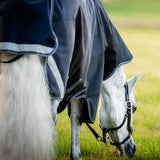 Horseware Rambo® 1680D Plus Turnout 100g - Horseware Ireland - Equiluxe Tack