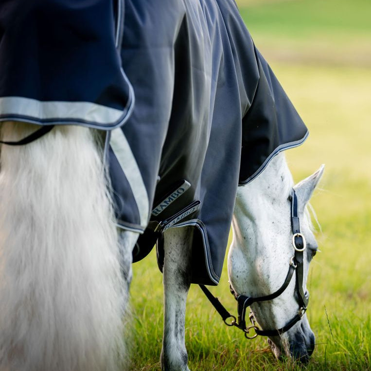 Horseware Rambo® 1680D Plus Turnout 100g - Horseware Ireland - Equiluxe Tack