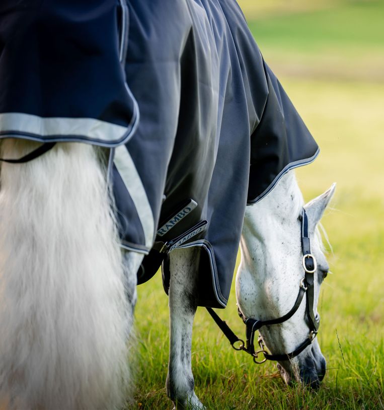 Horseware Rambo® 1680D Plus Turnout 100g - Horseware Ireland - Equiluxe Tack