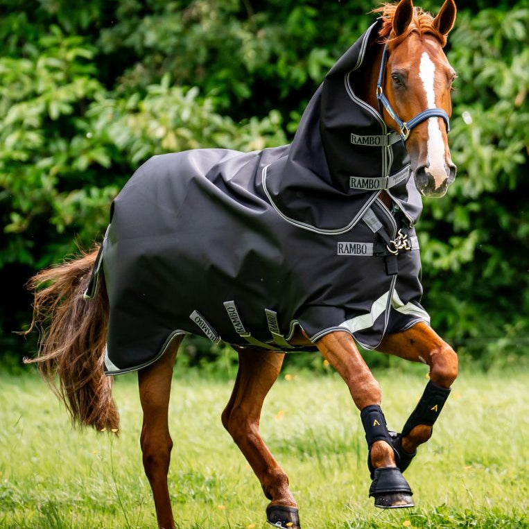 Horseware Rambo® 1680D Plus Turnout 100g - Horseware Ireland - Equiluxe Tack