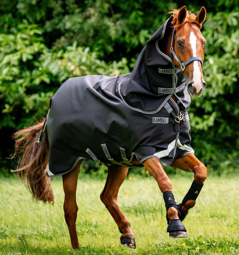Horseware Rambo® 1680D Plus Turnout 100g - Horseware Ireland - Equiluxe Tack