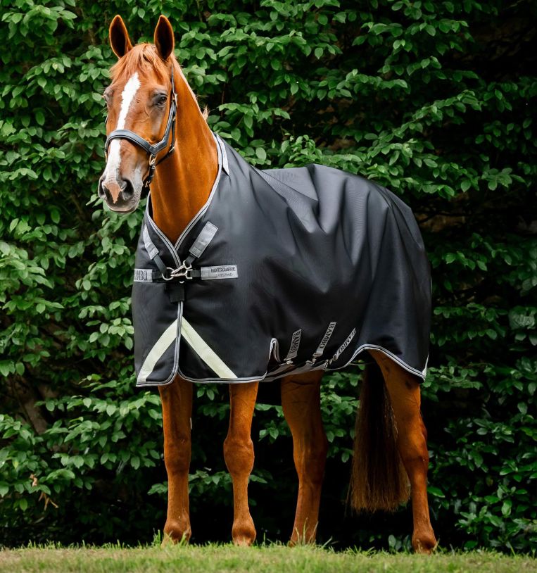 Horseware Rambo® 1680D Turnout 50g - Horseware Ireland - Equiluxe Tack
