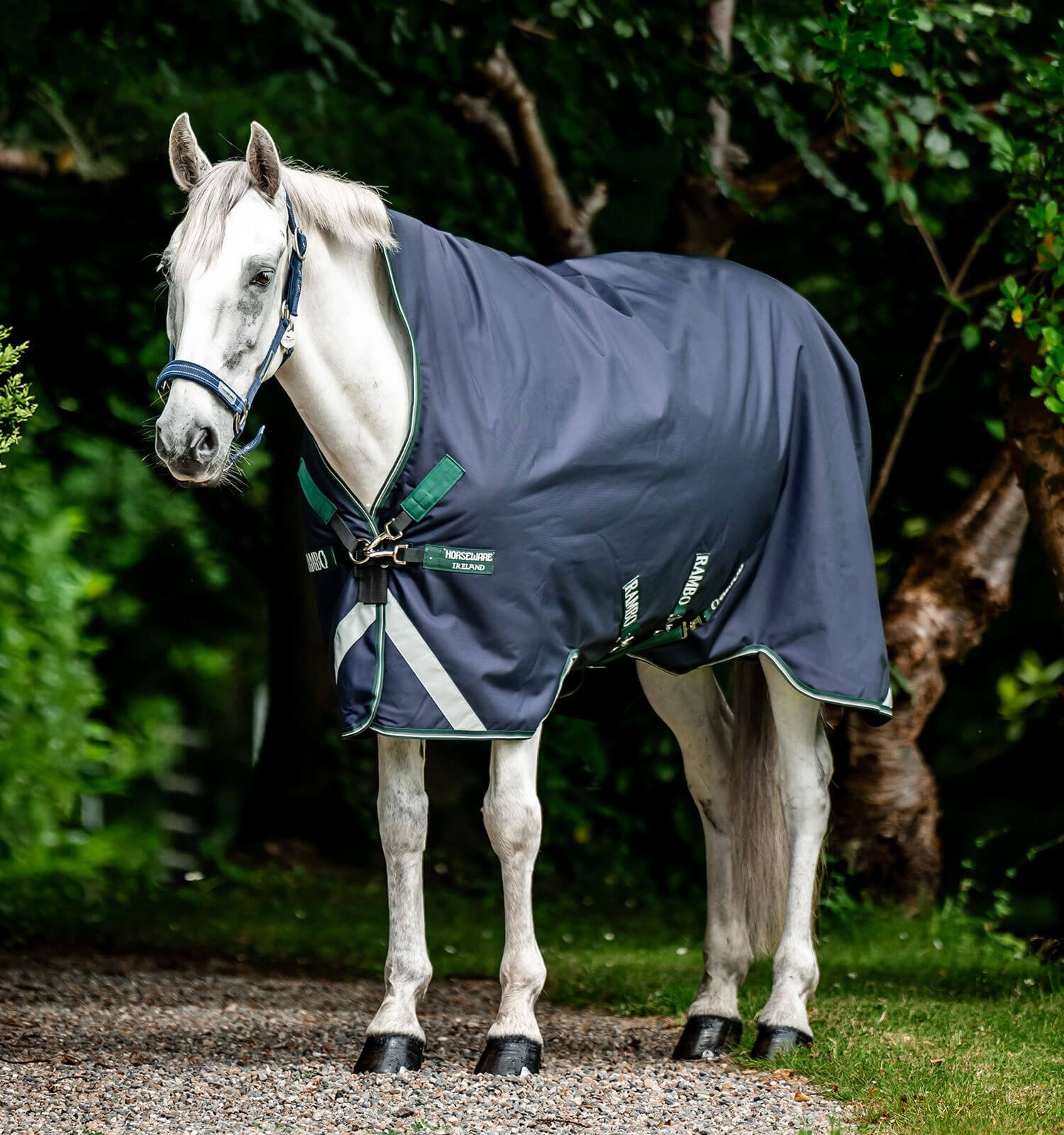 Horseware Rambo® 1680D Wug Turnout (50g Light) - Horseware Ireland - Equiluxe Tack