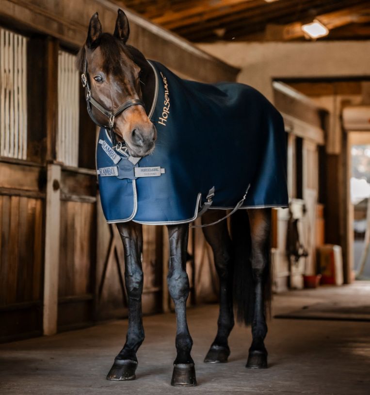 Horseware® Rambo® Airmax Cooler - Horseware Ireland - Equiluxe Tack