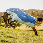 Horseware Rambo® Autumn Series Turnout (0g Outer with 100g Liner) - Horseware Ireland - Equiluxe Tack