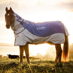 Horseware Rambo® Autumn Series Turnout (0g Outer with 100g Liner) - Horseware Ireland - Equiluxe Tack