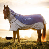 Horseware Rambo® Autumn Series Turnout (0g Outer with 100g Liner) - Horseware Ireland - Equiluxe Tack