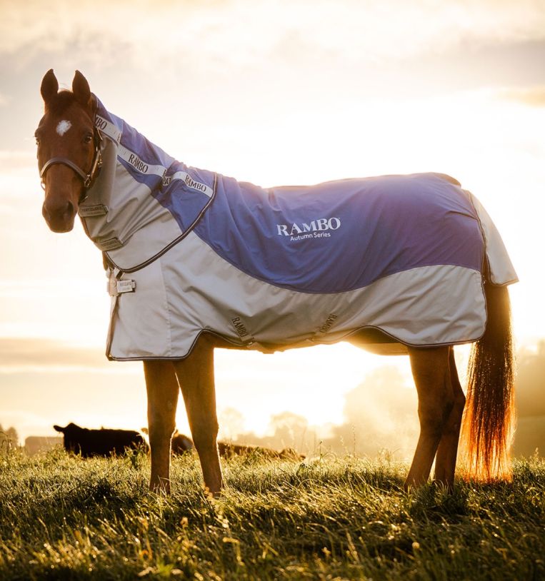 Horseware Rambo® Autumn Series Turnout (0g Outer with 100g Liner) - Horseware Ireland - Equiluxe Tack