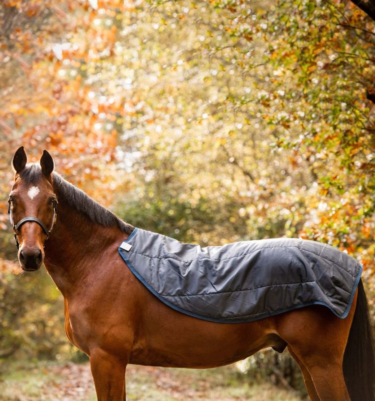 Horseware Rambo® Autumn Series Turnout (0g Outer with 100g Liner) - Horseware Ireland - Equiluxe Tack