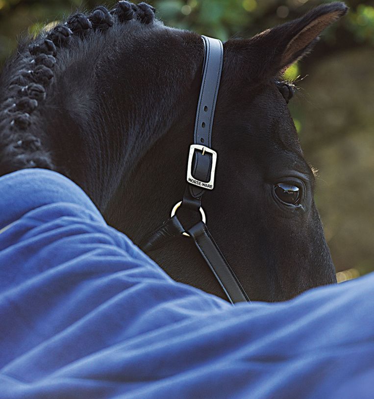 Horseware® Rambo® Cozy Fleece Cooler (No Fill) - Horseware Ireland - Equiluxe Tack