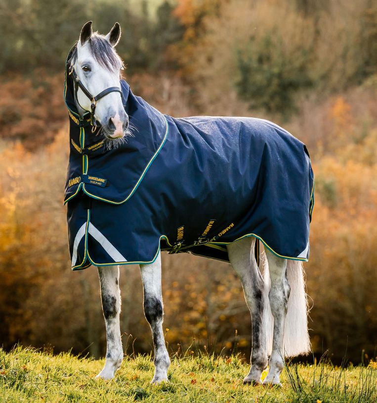 Horseware Rambo® Duo Force 2.0 Turnout (100g Outer with 100g Liner and 300g Liner) - Horseware Ireland - Equiluxe Tack