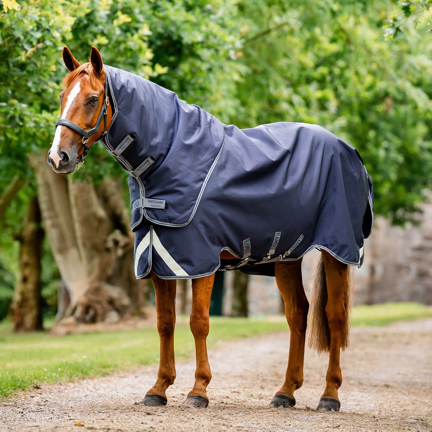 Horseware Rambo® Duo Force 2.0 Turnout (100g Outer with 100g Liner and 300g Liner) - Horseware Ireland - Equiluxe Tack