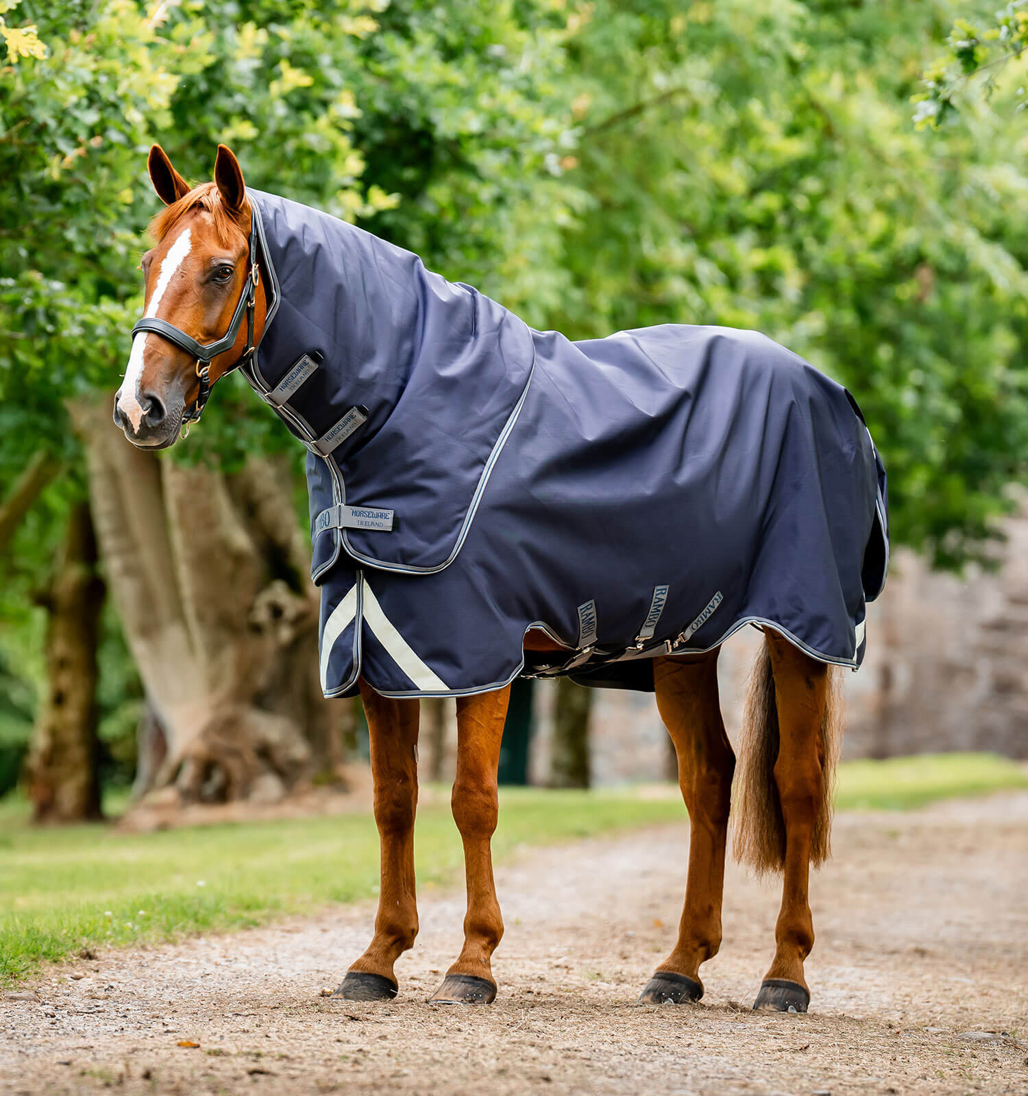 Horseware Rambo® Duo Force 2.0 Turnout (100g Outer with 100g Liner and 300g Liner) - Horseware Ireland - Equiluxe Tack