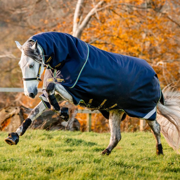 Horseware Rambo® Duo Force 2.0 Turnout (100g Outer with 100g Liner and 300g Liner) - Horseware Ireland - Equiluxe Tack