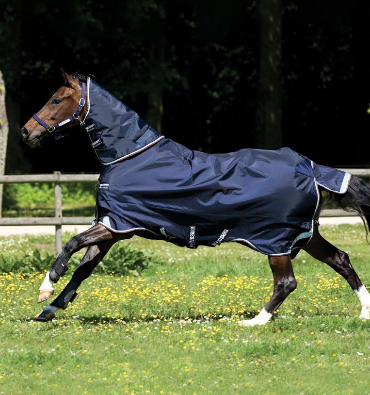 Horseware Rambo® Duo Turnout (100g Outer with 300g Liner) - Horseware Ireland - Equiluxe Tack