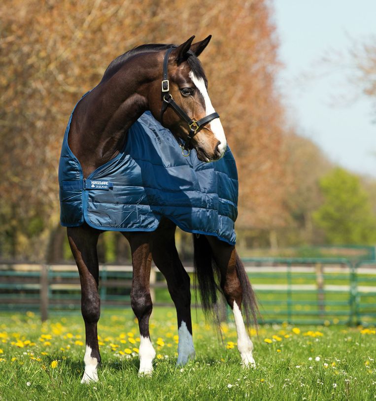 Horseware Rambo® Duo Turnout (100g Outer with 300g Liner) - Horseware Ireland - Equiluxe Tack