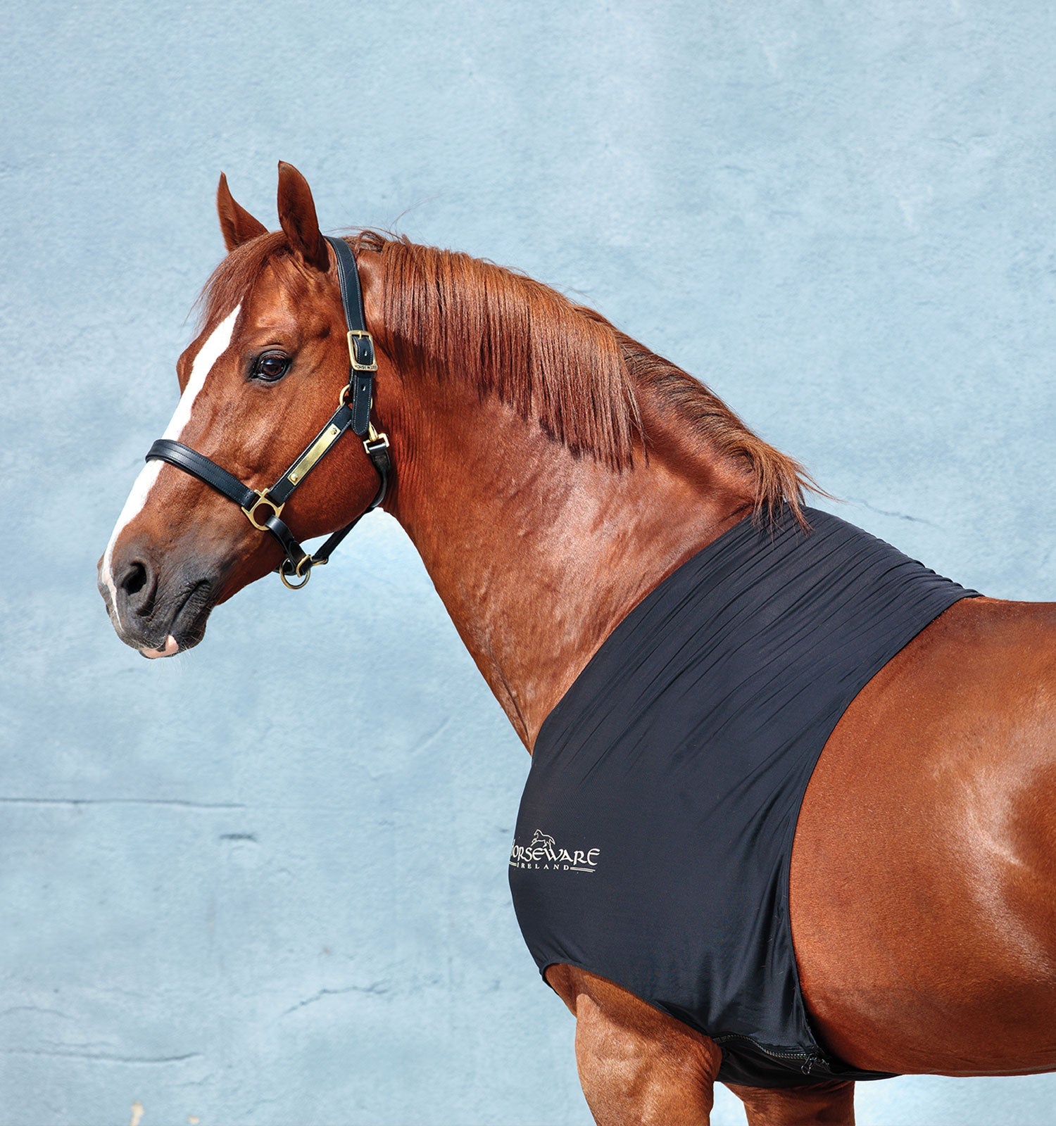 Horseware Rambo® Lycra Slinky Shoulder - Horseware Ireland - Equiluxe Tack