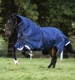 Horseware Rambo® Optimo Plus Turnout (0g Light) - Horseware Ireland - Equiluxe Tack