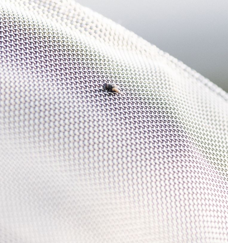 Horseware Rambo® Optimo Supreme Summer Sheet Plus - Horseware Ireland - Equiluxe Tack