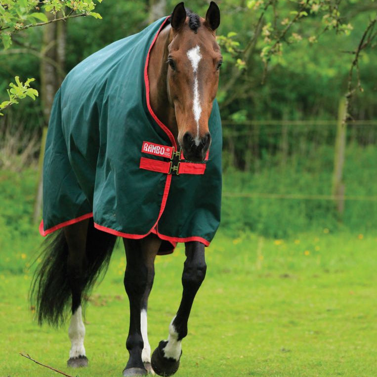 Horseware Rambo® Original Turnout (0g Light) - Horseware Ireland - Equiluxe Tack