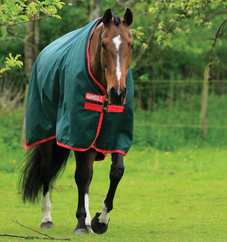 Horseware Rambo® Original Turnout (0g Light) - Horseware Ireland - Equiluxe Tack