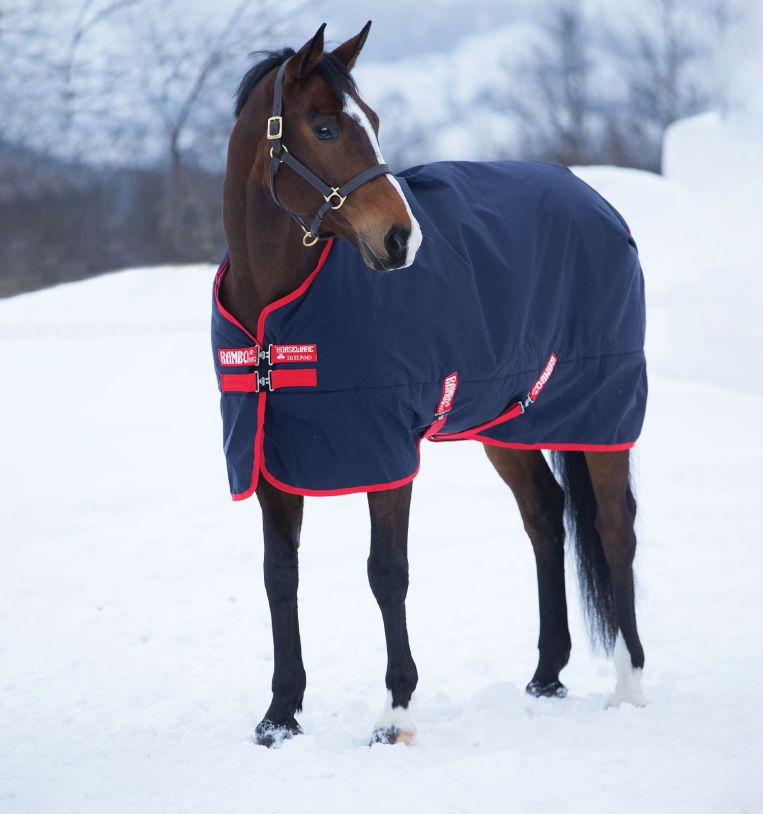 Horseware Rambo® Original Turnout (200g Medium) - Horseware Ireland - Equiluxe Tack