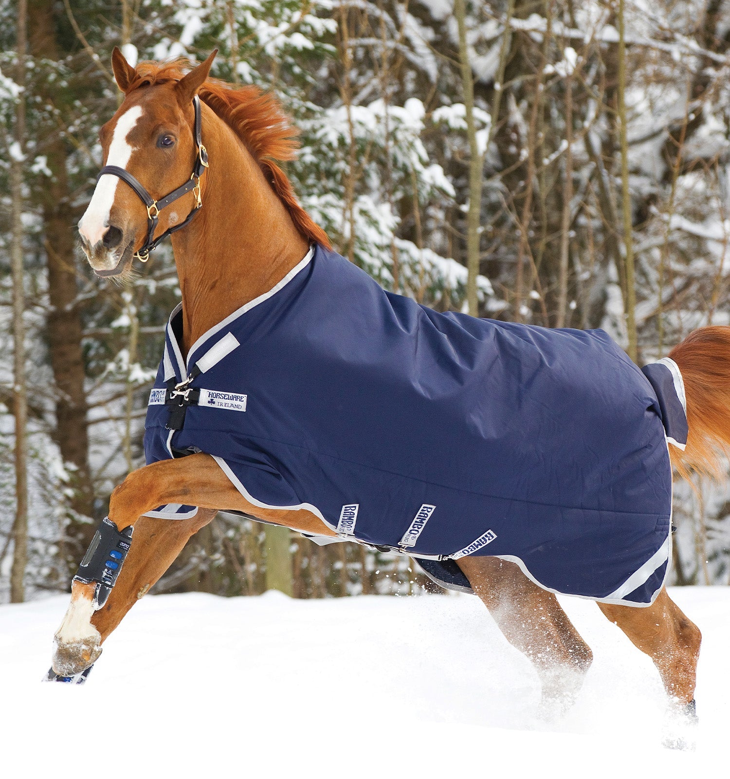 Horseware Rambo® Original Turnout (200g Medium) - Horseware Ireland - Equiluxe Tack