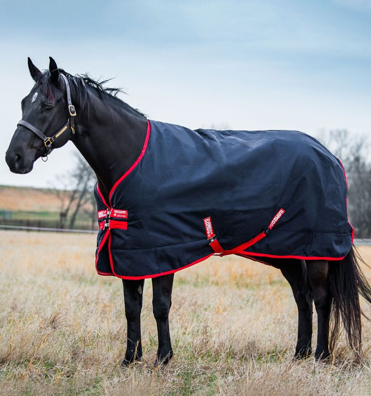 Horseware Rambo® Original Turnout (200g Medium) - Horseware Ireland - Equiluxe Tack