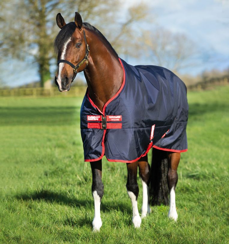 Horseware Rambo® Original Turnout (200g Medium) - Horseware Ireland - Equiluxe Tack