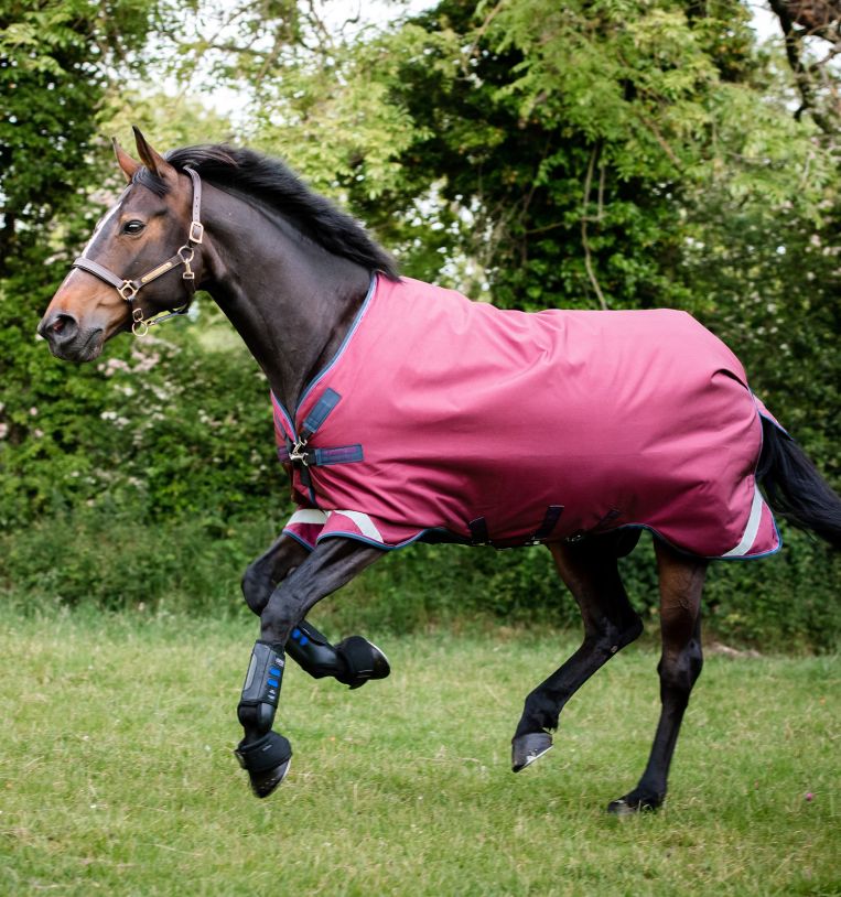 Horseware Rambo® Original Turnout with Leg Arches (0g Light) - Horseware Ireland - Equiluxe Tack