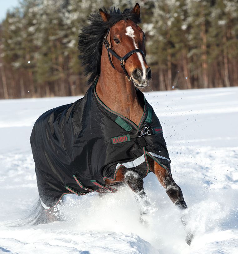 Horseware Rambo® Original Turnout with Leg Arches (200g Medium) - Horseware Ireland - Equiluxe Tack