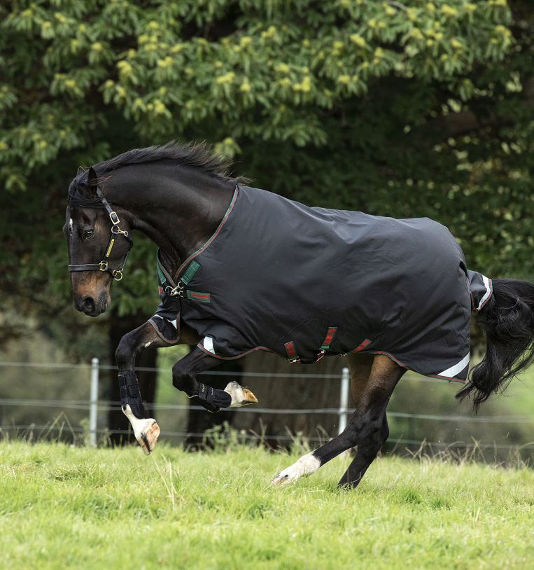 Horseware Rambo® Original Turnout with Leg Arches (200g Medium) - Horseware Ireland - Equiluxe Tack