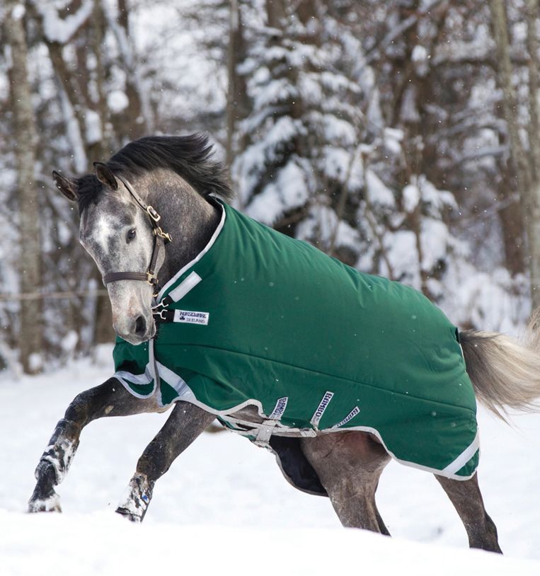 Horseware Rambo® Original Turnout with Leg Arches (400g Heavy) - Horseware Ireland - Equiluxe Tack